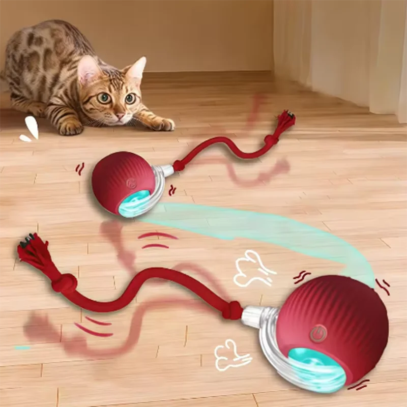 Cat Toys